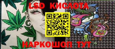 индика Владивосток