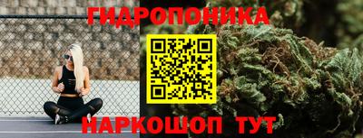 индика Владивосток