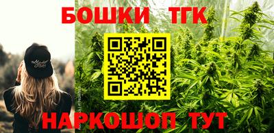 индика Владивосток
