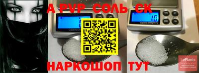 индика Владивосток