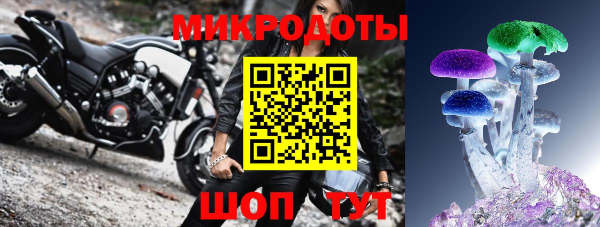Коркино  Псилоцибиновые грибы Psilocybine cubensis  Вход с VPN 