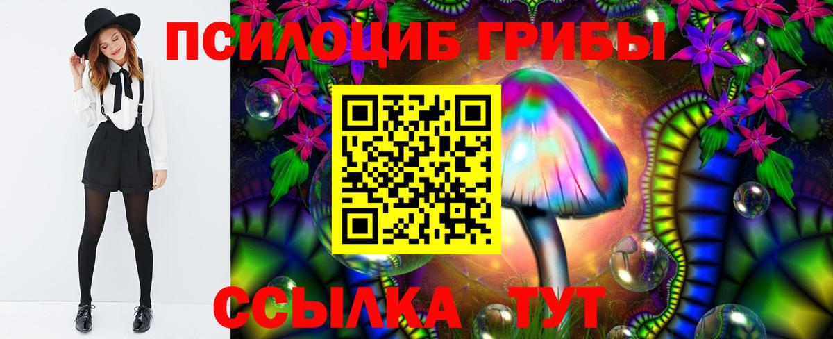 Галлюциногенные грибы мицелий Коркино